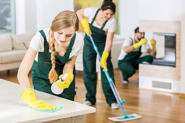 Office Cleaning Services Near Me: Your Local Clean Team post thumbnail image