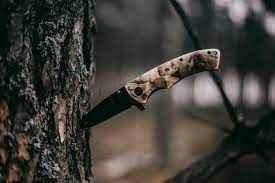 The Hunter’s Essential Tool: A Guide to Hunting Knives post thumbnail image