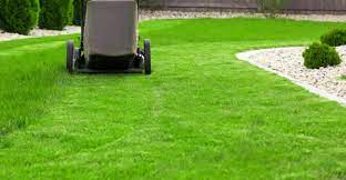 Green Oasis: Professional Lawn Care Services in Denver post thumbnail image