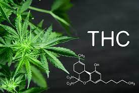 Effective THC Detox: Start Your Journey Today post thumbnail image