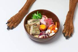 Balanced Bites: The Art of Crafting the Best Raw Dog Food post thumbnail image