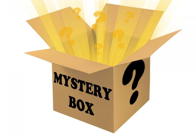 The Mystery Boxes Craze: What’s the Hype All About? post thumbnail image