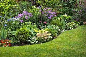 Masterful Touch: Landscaping Companies in New Jersey post thumbnail image