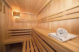 Harnessing the Healing Power of Infrared sauna: A Path to Holistic Wellness post thumbnail image