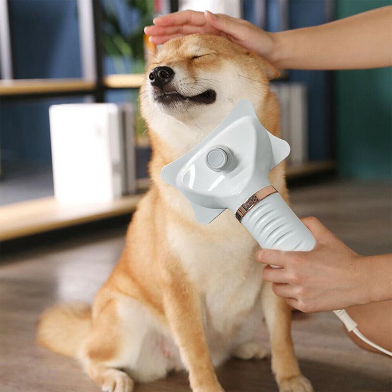 Blow-Free of moisture Satisfaction: Top rated-ranked Dog Hair Dryers for a Soft Accomplish post thumbnail image