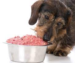 Dog Food Calculator: Tailoring Raw Diets for Your Pet’s Needs post thumbnail image