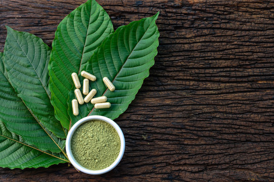 Finding Your Go-To Vendor: Evaluating Kratom Sellers Online post thumbnail image